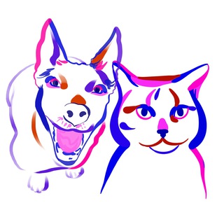 Логотип телеграм канала @nado_bratb — Надо брать!