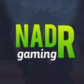 Logo saluran telegram nadrgaming — 👑𝗡𝗔𝗗𝗥 𝗚𝗔𝗠𝗜𝗡𝗚👑