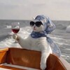 Логотип телеграм канала @nadyakopit — Надя копит на мечту
