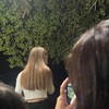 Логотип телеграм канала @nafanuskent — рыжик ищет дом😽