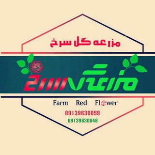 لوگوی کانال تلگرام nahalbartar_hosein_yeganeh — مزرعه گل سرخ