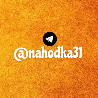 Логотип телеграм канала @nahodka31 — НАХОДКА31