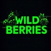 Логотип телеграм канала @nahodki_wb_new — Зачем я это купил? | Wildberries