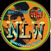 Logo of telegram channel nainglinwai — NLW GAMING
