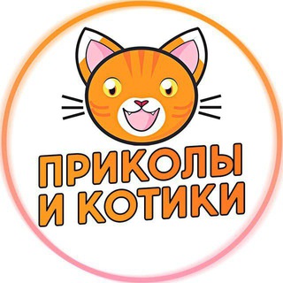 Telegram kanalining logotibi najimkul — Приколы и котики
