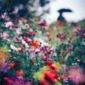 لوگوی کانال تلگرام najvapoetry — Najvapoetry