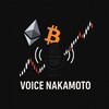 Логотип телеграм канала @nakamotovoice — ГОЛОС НАКАМОТО