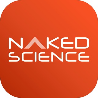 Логотип телеграм канала @nakedscience — Naked Science – все новости