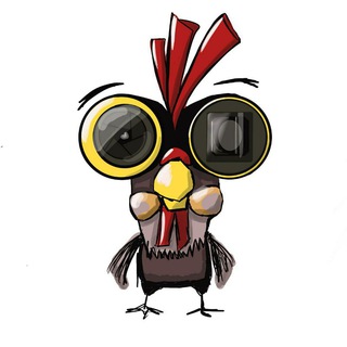 Логотип телеграм канала @nakokoi — НАКОКОЙ объектив снято?