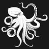 Логотип телеграм канала @nakrytka_octopus — Всё о Осьминоге