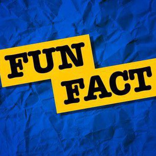 Логотип телеграм канала @nalogi2 — Налоги