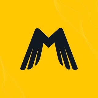 Логотип телеграм канала @namarketplacewithleo — На маркетплейсах c Лео Шевченко ️