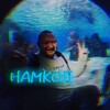 Логотип телеграм канала @namcodvova — Владимир Намкод