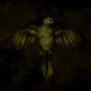 Логотип телеграм канала @namenlosedead — Victor Namenlose