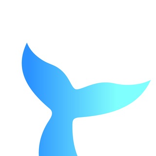 Логотип телеграм канала @nantucket_crypto — Nantucket