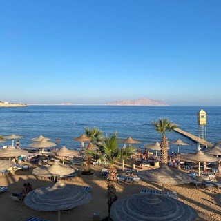 Логотип телеграм канала @naotdyh_egypt2021 — 🇪🇬 ЕГИПЕТ. ШАРМ ОТЕЛИ РЕКЛАМНИК 2021