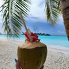 Логотип телеграм канала @naotdykh_maldives — 🇲🇻 Мальдивы Отели @polis_nata