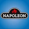 Логотип телеграм канала @napoleon_russia — Napoleon_russia