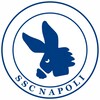 Логотип телеграм канала @napoli_church — Хроники Наполи | Napoli