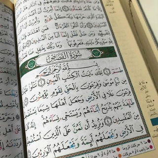 لوگوی کانال تلگرام napominaniye_dushi — 🍂Напоминание души🍂