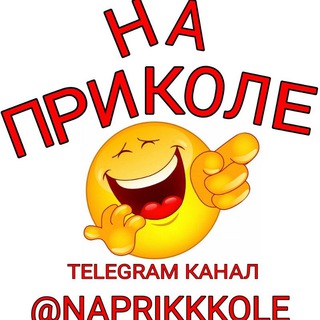 Логотип телеграм канала @naprikkkole — На приколе😂 смешное видео