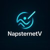 لوگوی کانال تلگرام napsternetv_hub — NapsternetV VPN | Configs Free | Напстернет конфиг | کانفیگ نپسترنت