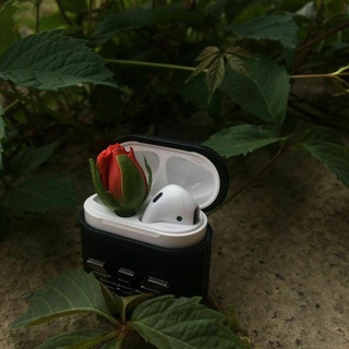 Logo saluran telegram narcotictm — ♨️Narcotic.tm♨️