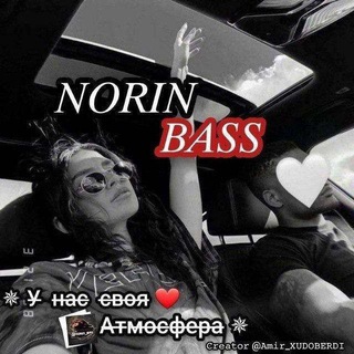 Логотип телеграм канала @narin_bass — ␈︎👑 NORIN BASS ☪ 𝐄𝐔𝐏𝐇𝐎𝐑𝐈𝐀 😁
