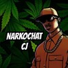 Логотип телеграм канала @narkochatcj — Narko CJ