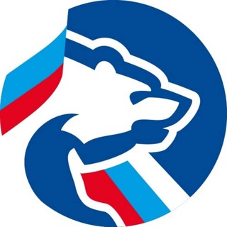 Логотип телеграм канала @narodnayprogramma63 — Z Народная программа 63