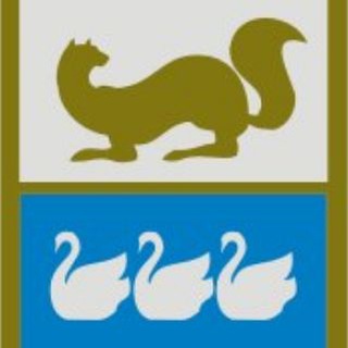 Логотип телеграм канала @narodnyy_sovet_str — Народный Совет Стерлитамака