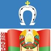 Логотип телеграм канала @narovlyaric — Наровля. Официально