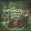 Логотип телеграм канала @nartsisi2 — нᴀᴩциᴄᴄы ♰ | рейд кф