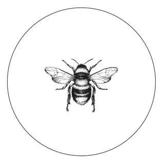Логотип телеграм канала @nasekomost — насекомость