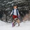 Логотип телеграм канала @nash_hvostatii_dom — Наш хвостатый дом 🐶🐱