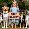 Логотип телеграм канала @nashe_dobro — Добрые дела OUR BEAUTY