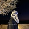 Логотип телеграм канала @nasheedrs — Nasheeds| Нашиды | Quran