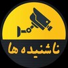 لوگوی کانال تلگرام nashenideha1401 — ناشنیده‌ها