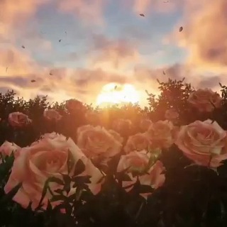 Логотип телеграм канала @nashi_svyatini — Благодарное сердце