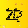 Telegram channel نشیدهای محمدی logo