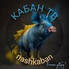 Логотип телеграм канала @nashkaban — КАБАН ТВ
