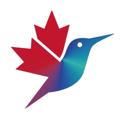 Logo saluran telegram nashvancouver — Наш Ванкувер, Канада 🇨🇦 | Жизнь и Новости