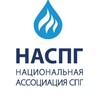 Логотип телеграм канала @nasslng — Ассоциация НАСПГ