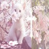 Логотип телеграм канала @nasteverls_pvs — ⲕ᥈𐔤ⳝⲏυɥⲕᥲ🍓