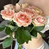Логотип телеграм канала @nastiforyou — yournastynasti