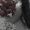 Логотип телеграм канала @nastikswq1 — свита