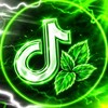 Логотип телеграм канала @nastonsv — TikTok Mint