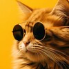 Логотип телеграм канала @nastroenienaura — Настроение на Ура