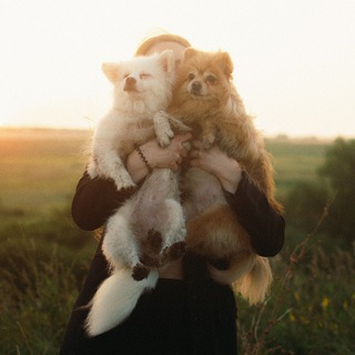 Логотип телеграм канала @nata_averyaskina — Naveraskina🐶🐈❤️