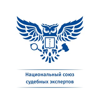 Логотип телеграм канала @natexpert — НЭКСИНФО